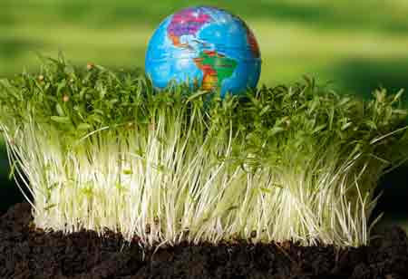 Scaling Agricultural Supply Chains for a Borderless Global Market